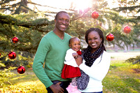 Akintade Family Portraits